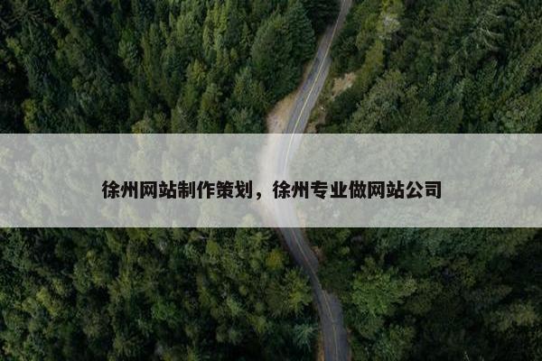 徐州网站制作策划，徐州专业做网站公司