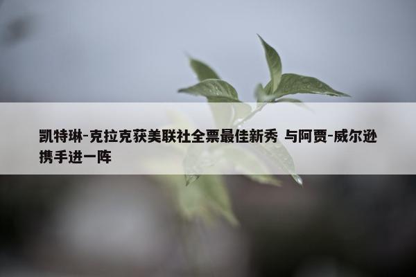 凯特琳-克拉克获美联社全票最佳新秀 与阿贾-威尔逊携手进一阵