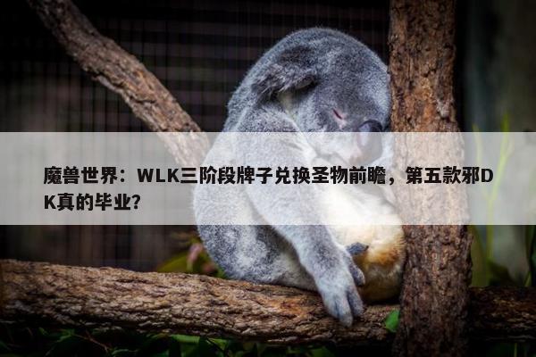 魔兽世界：WLK三阶段牌子兑换圣物前瞻，第五款邪DK真的毕业？