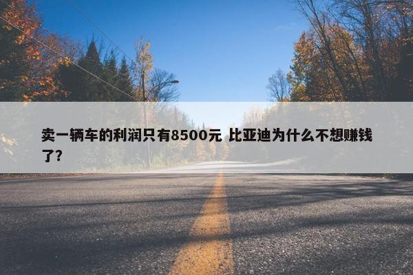 卖一辆车的利润只有8500元 比亚迪为什么不想赚钱了？