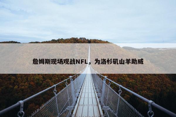 詹姆斯现场观战NFL，为洛杉矶山羊助威