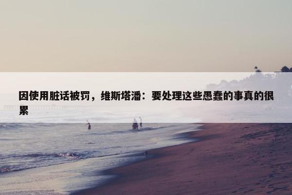 因使用脏话被罚，维斯塔潘：要处理这些愚蠢的事真的很累