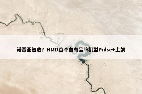 诺基亚智选？HMD首个自有品牌机型Pulse+上架