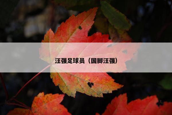 汪强足球员（国脚汪强）