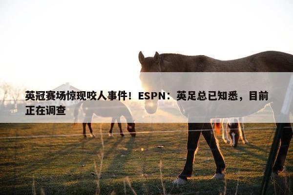 英冠赛场惊现咬人事件！ESPN：英足总已知悉，目前正在调查