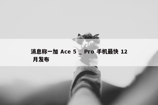 消息称一加 Ace 5 _ Pro 手机最快 12 月发布