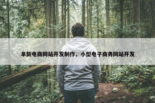 阜新电商网站开发制作，小型电子商务网站开发