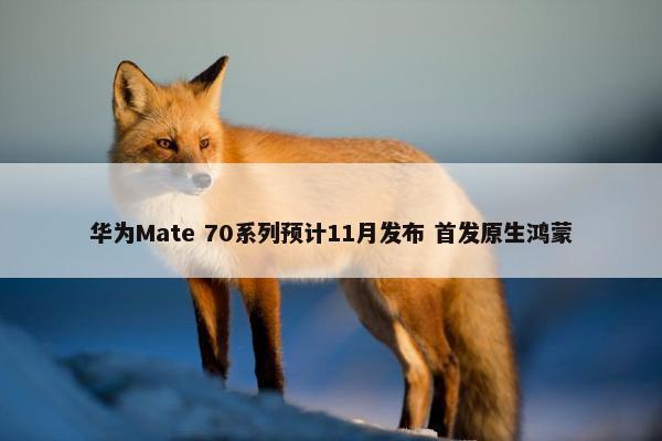 华为Mate 70系列预计11月发布 首发原生鸿蒙