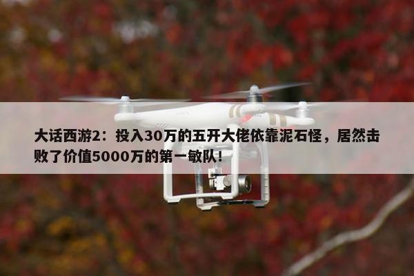 大话西游2：投入30万的五开大佬依靠泥石怪，居然击败了价值5000万的第一敏队！