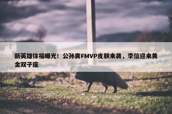 新英雄徐福曝光！公孙离FMVP皮肤来袭，李信迎来黄金双子座