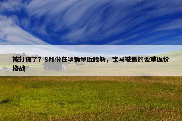 被打痛了？8月份在华销量近腰斩，宝马被逼的要重返价格战