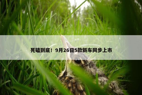 死磕到底！9月26日5款新车同步上市