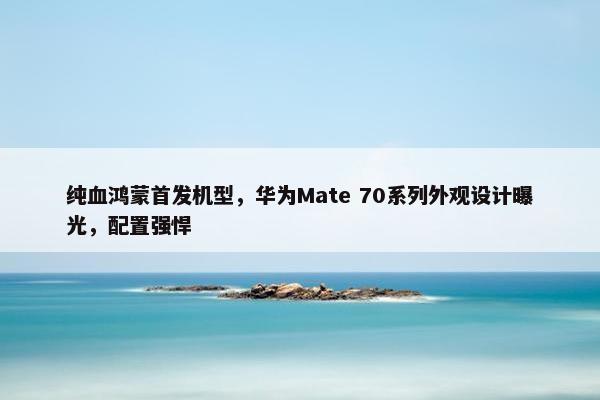 纯血鸿蒙首发机型，华为Mate 70系列外观设计曝光，配置强悍