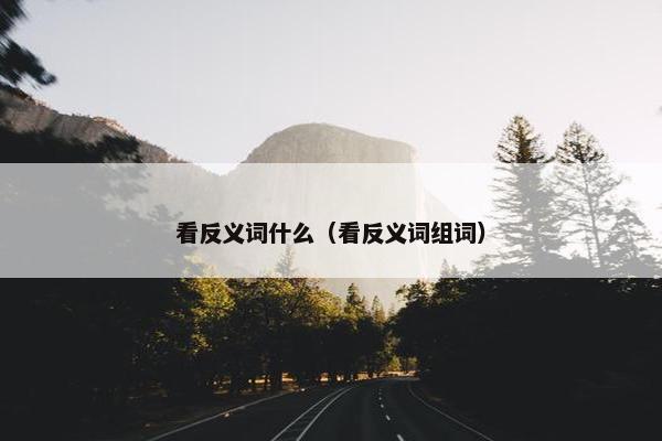 看反义词什么（看反义词组词）