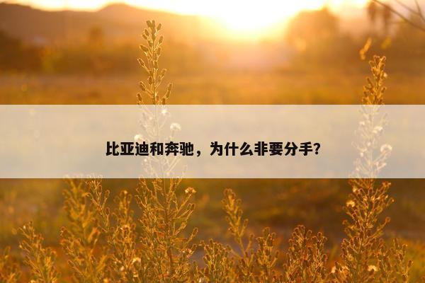 比亚迪和奔驰，为什么非要分手？