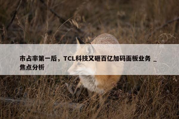 市占率第一后，TCL科技又砸百亿加码面板业务 _ 焦点分析