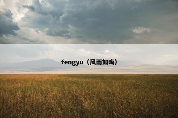 fengyu（风雨如晦）