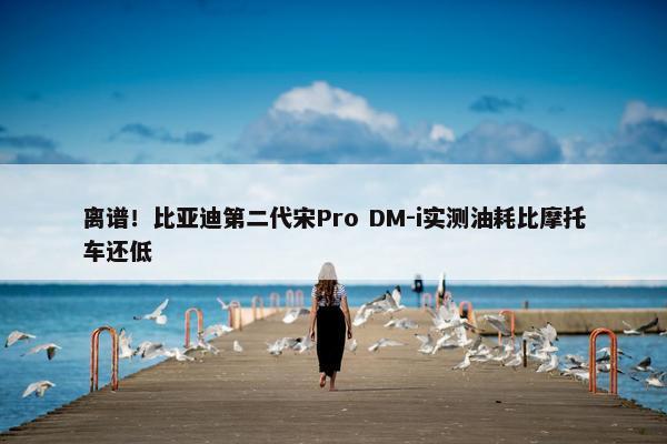 离谱！比亚迪第二代宋Pro DM-i实测油耗比摩托车还低