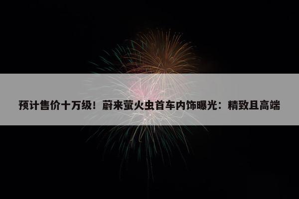 预计售价十万级！蔚来萤火虫首车内饰曝光：精致且高端