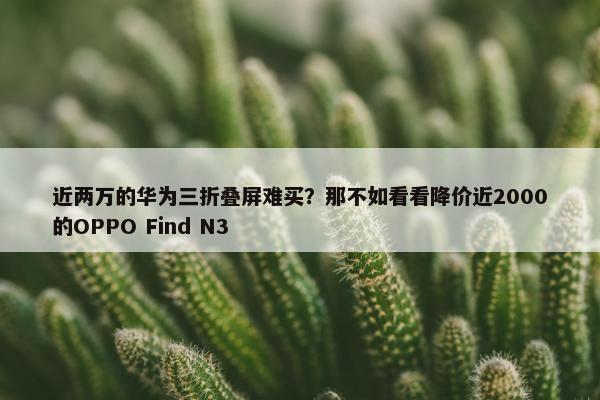 近两万的华为三折叠屏难买？那不如看看降价近2000的OPPO Find N3