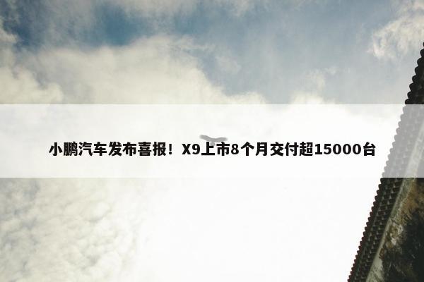 小鹏汽车发布喜报！X9上市8个月交付超15000台