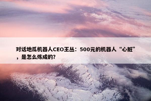 对话地瓜机器人CEO王丛：500元的机器人“心脏”，是怎么炼成的？