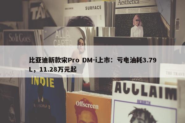 比亚迪新款宋Pro DM-i上市：亏电油耗3.79L，11.28万元起