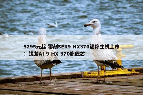 5295元起 零刻SER9 HX370迷你主机上市：锐龙AI 9 HX 370旗舰芯