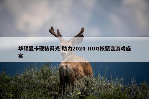 华硕显卡硬核闪光 助力2024 ROG核聚变游戏盛宴