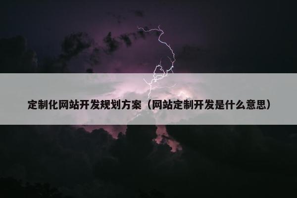 定制化网站开发规划方案（网站定制开发是什么意思）