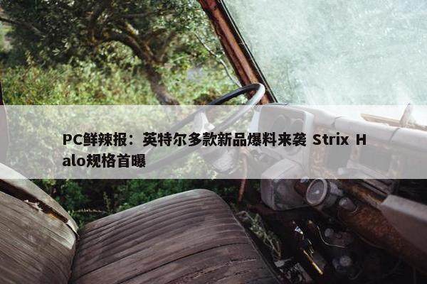 PC鲜辣报：英特尔多款新品爆料来袭 Strix Halo规格首曝