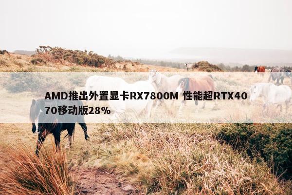 AMD推出外置显卡RX7800M 性能超RTX4070移动版28%