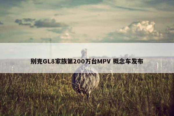 别克GL8家族第200万台MPV 概念车发布