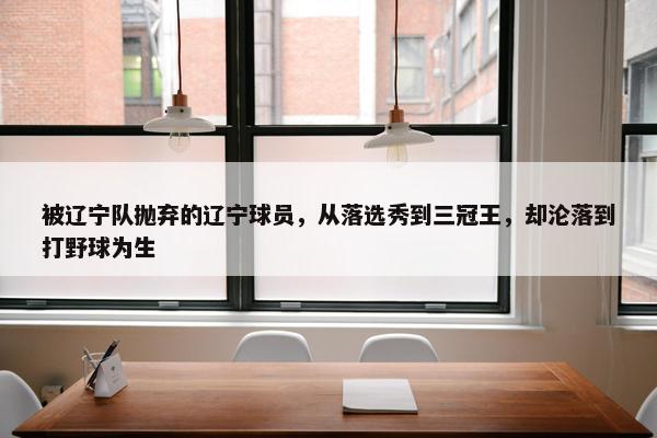 被辽宁队抛弃的辽宁球员，从落选秀到三冠王，却沦落到打野球为生