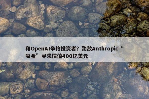 和OpenAI争抢投资者？劲敌Anthropic“吸金”寻求估值400亿美元