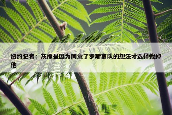 纽约记者：灰熊是因为同意了罗斯离队的想法才选择裁掉他