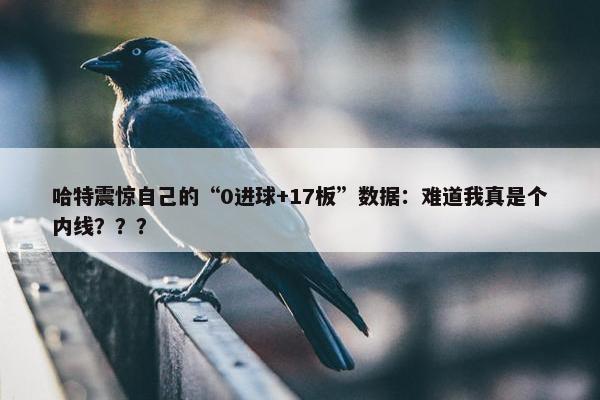 哈特震惊自己的“0进球+17板”数据：难道我真是个内线？？？