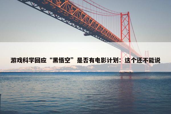 游戏科学回应“黑悟空”是否有电影计划：这个还不能说