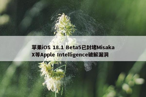 苹果iOS 18.1 Beta5已封堵MisakaX等Apple Intelligence破解漏洞