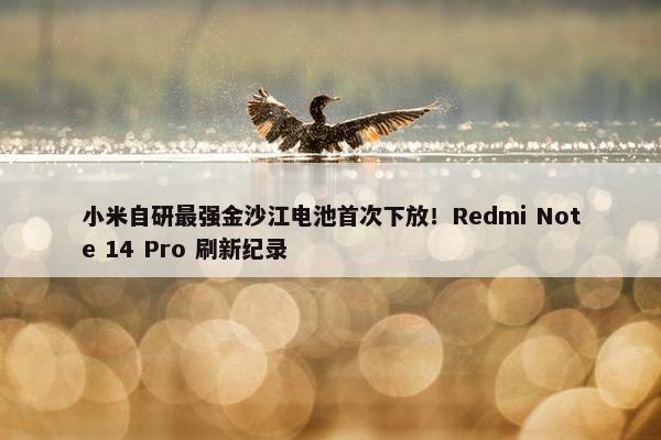 小米自研最强金沙江电池首次下放！Redmi Note 14 Pro 刷新纪录