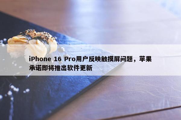 iPhone 16 Pro用户反映触摸屏问题，苹果承诺即将推出软件更新