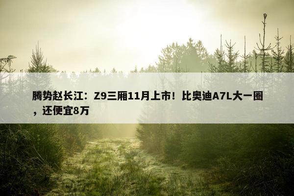 腾势赵长江：Z9三厢11月上市！比奥迪A7L大一圈，还便宜8万