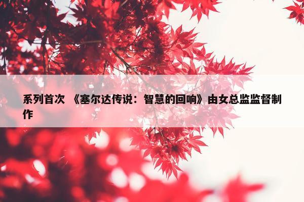 系列首次 《塞尔达传说：智慧的回响》由女总监监督制作