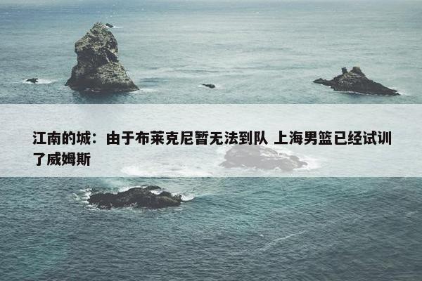 江南的城：由于布莱克尼暂无法到队 上海男篮已经试训了威姆斯