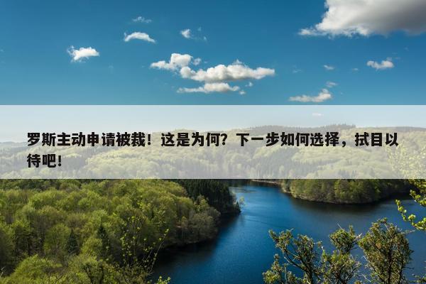 罗斯主动申请被裁！这是为何？下一步如何选择，拭目以待吧！