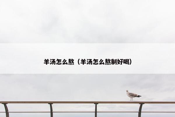 羊汤怎么熬（羊汤怎么熬制好喝）