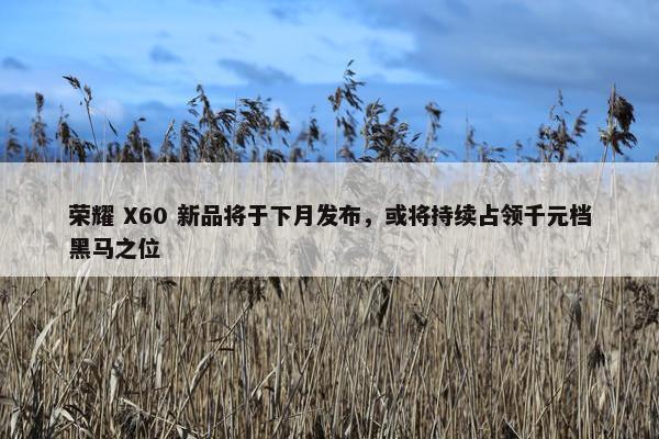 荣耀 X60 新品将于下月发布，或将持续占领千元档黑马之位