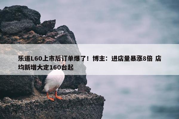 乐道L60上市后订单爆了！博主：进店量暴涨8倍 店均新增大定160台起