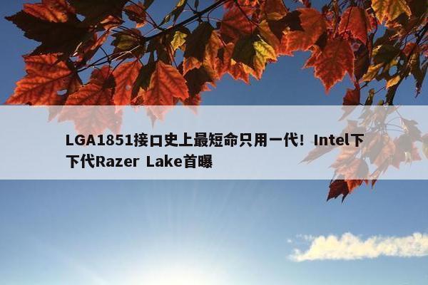 LGA1851接口史上最短命只用一代！Intel下下代Razer Lake首曝