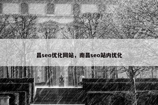 昌seo优化网站，南昌seo站内优化